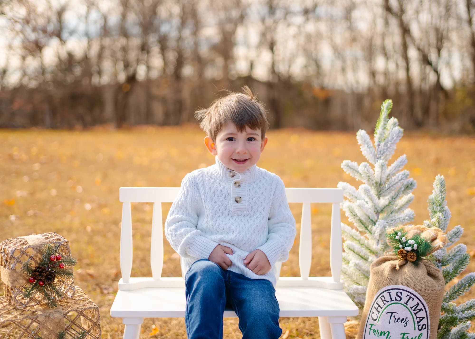 Young boy at a festive mini session