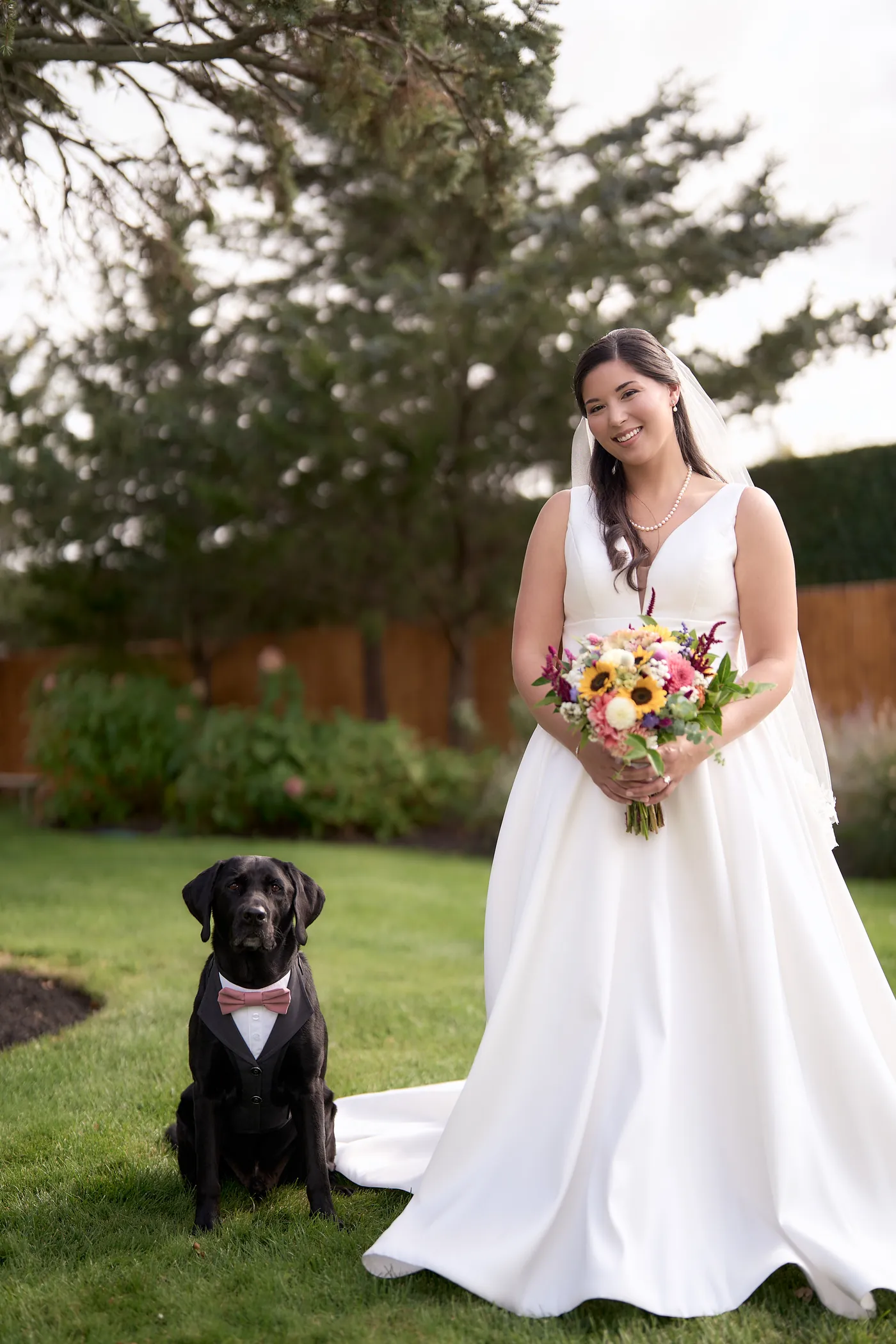 An open wedding album on a table, Bride with her bouquet beside the couple's dog on the wedding day